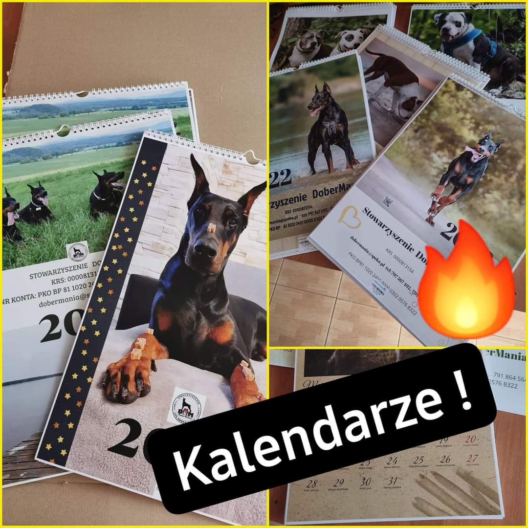Dobermania - Kalendarze na 2023 rok 