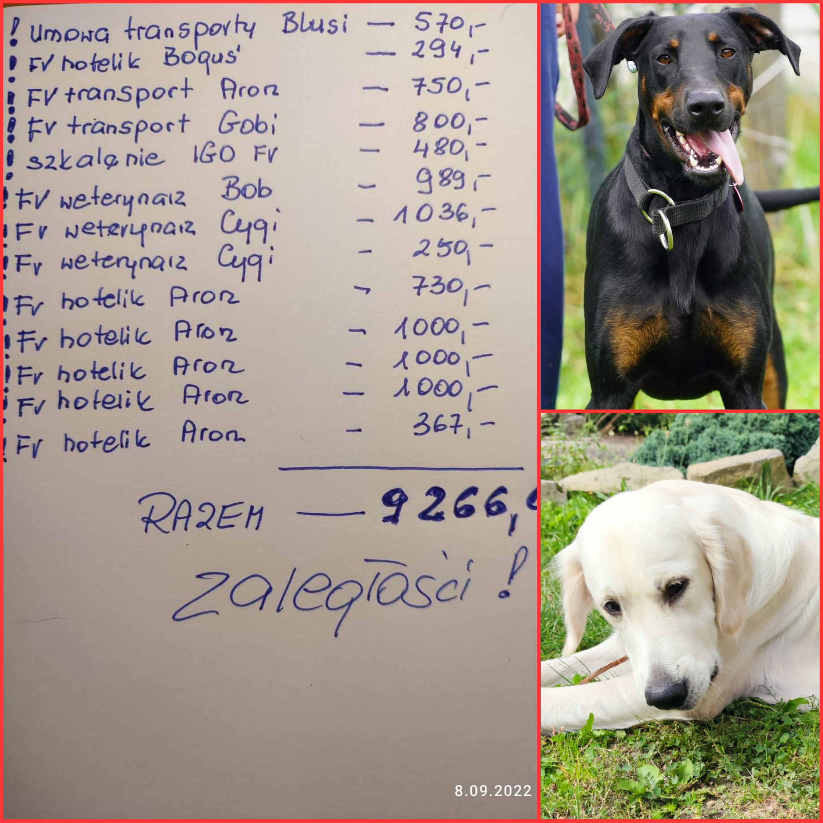 Dobermania - Spłacamy Długi 