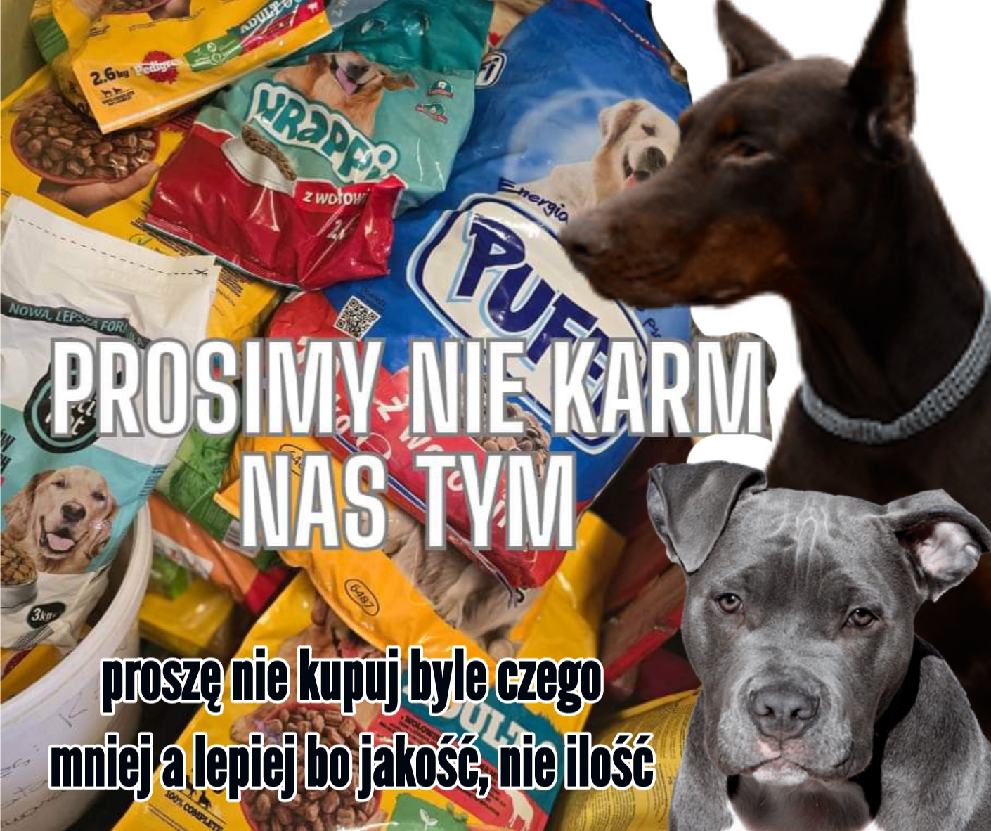 Dobermania - Jaką karmę dla naszych podopiecznych? 