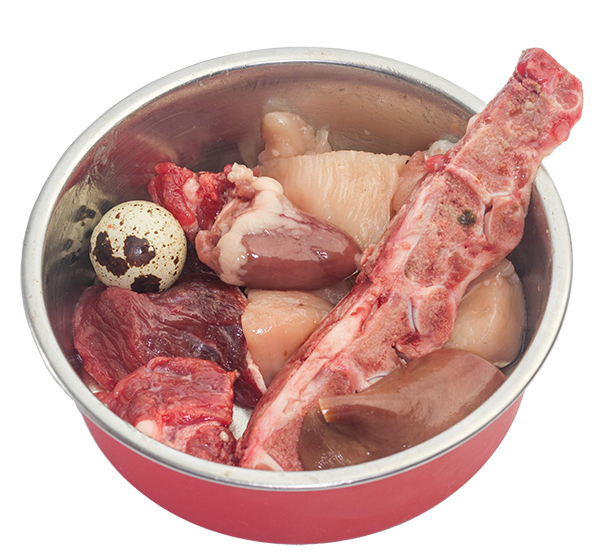 Dobermania - Barf - co to jest? 