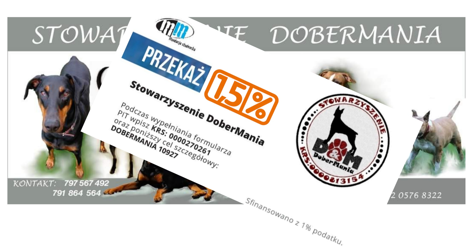 Dobermania - Podaruj psiakom swój 1,5% podatku 