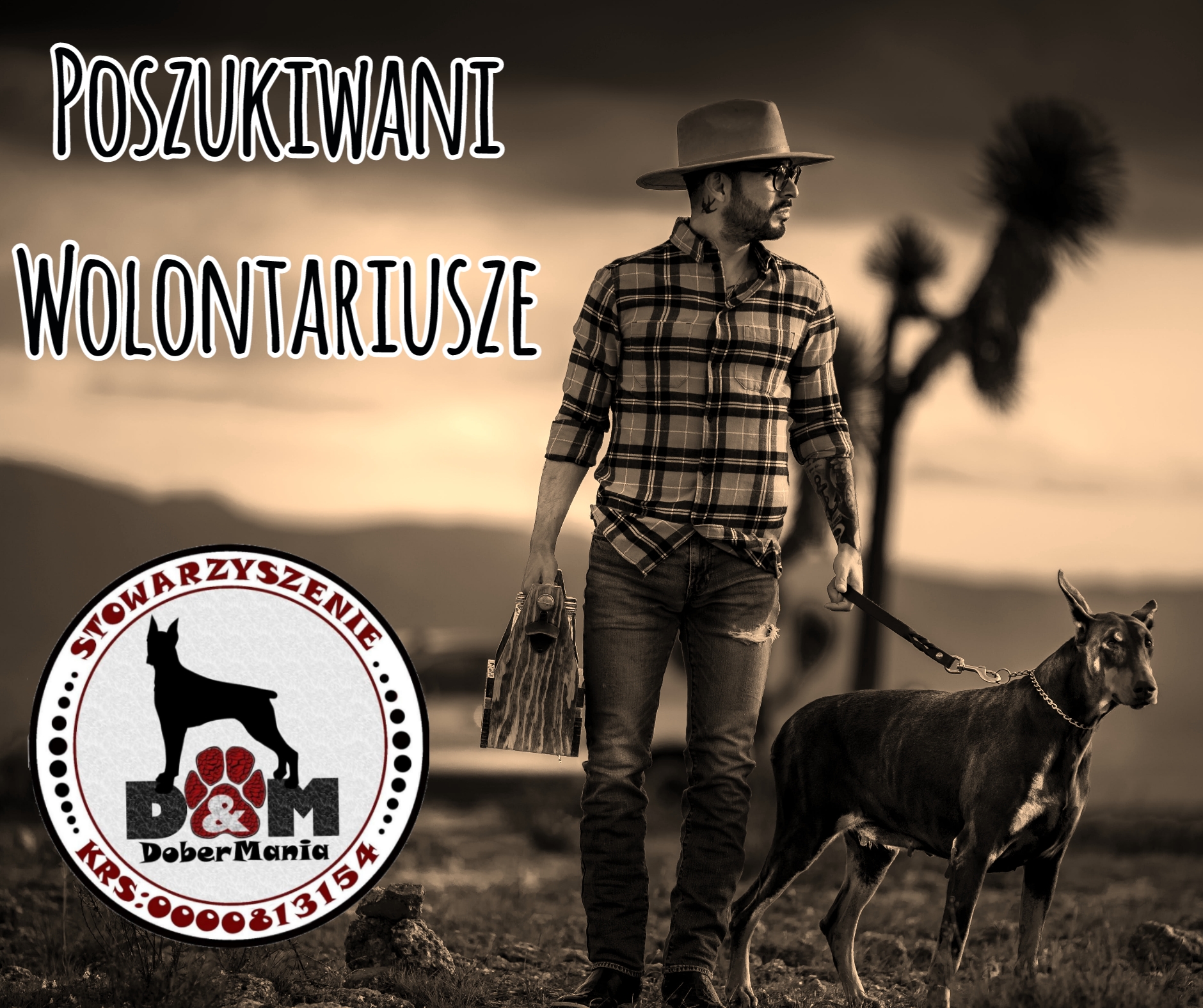 Dobermania - Wolontariat 