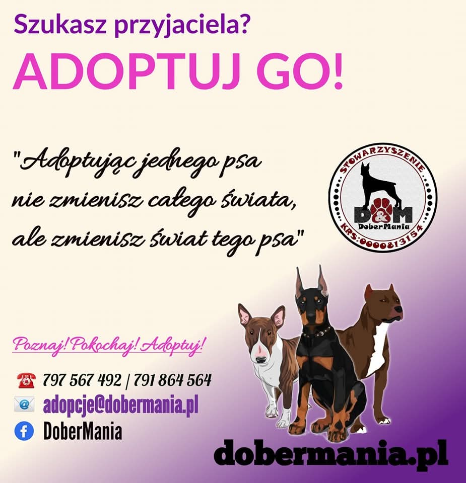 Dobermania - Rozliczenie roczne 2024 r 