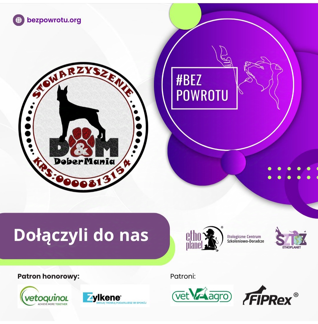Dobermania - #BEZPOWROTU 
