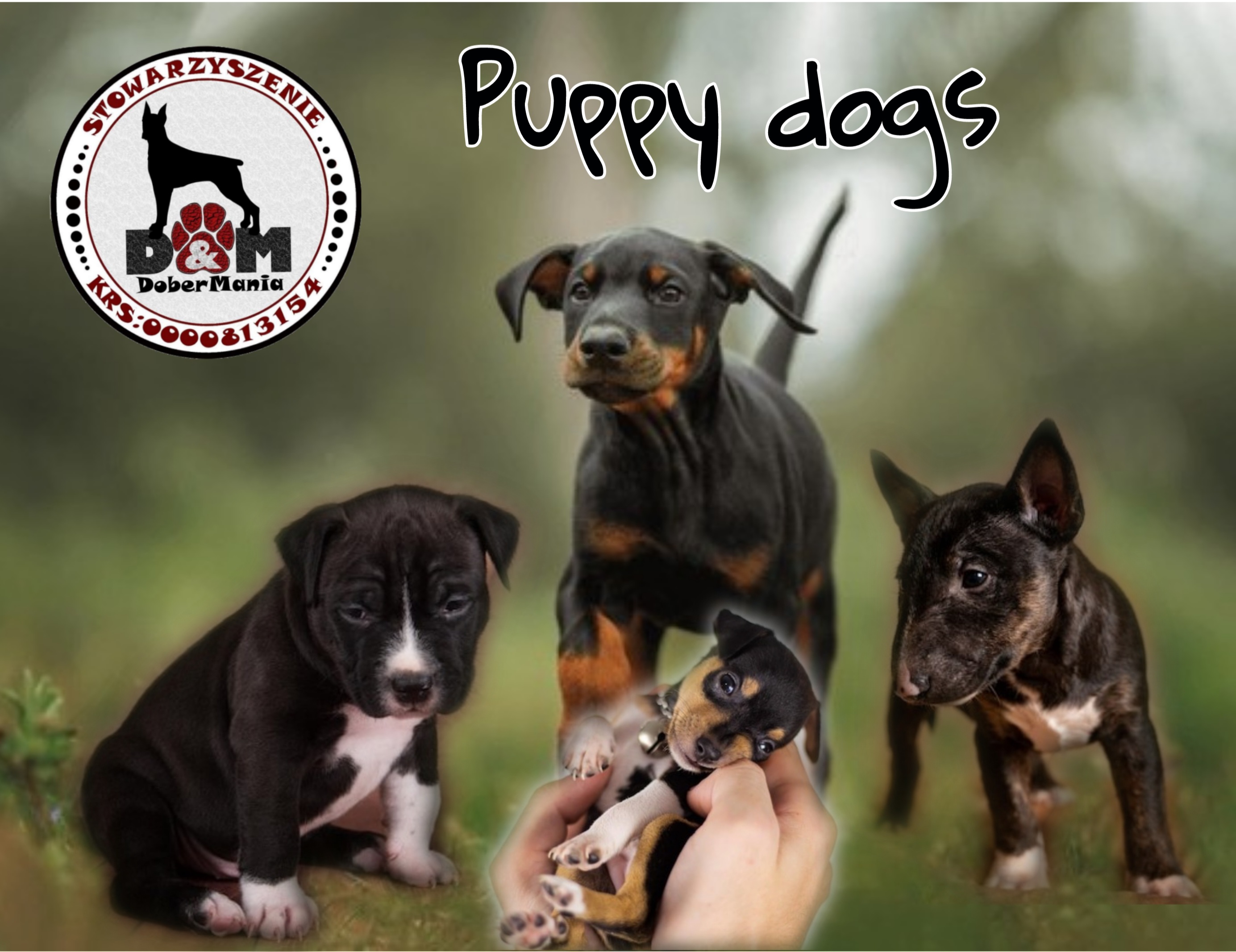 Dobermania - Dzień dziecka - kilka wskazówek 