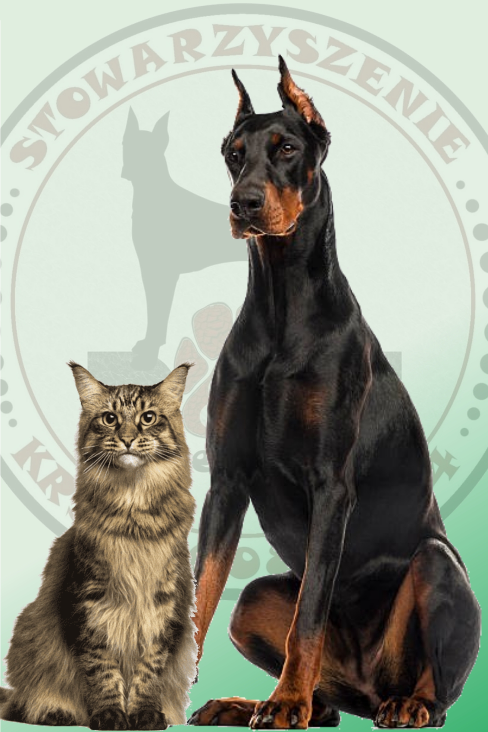 Dobermania - Kot i pies pod jednym dachem 